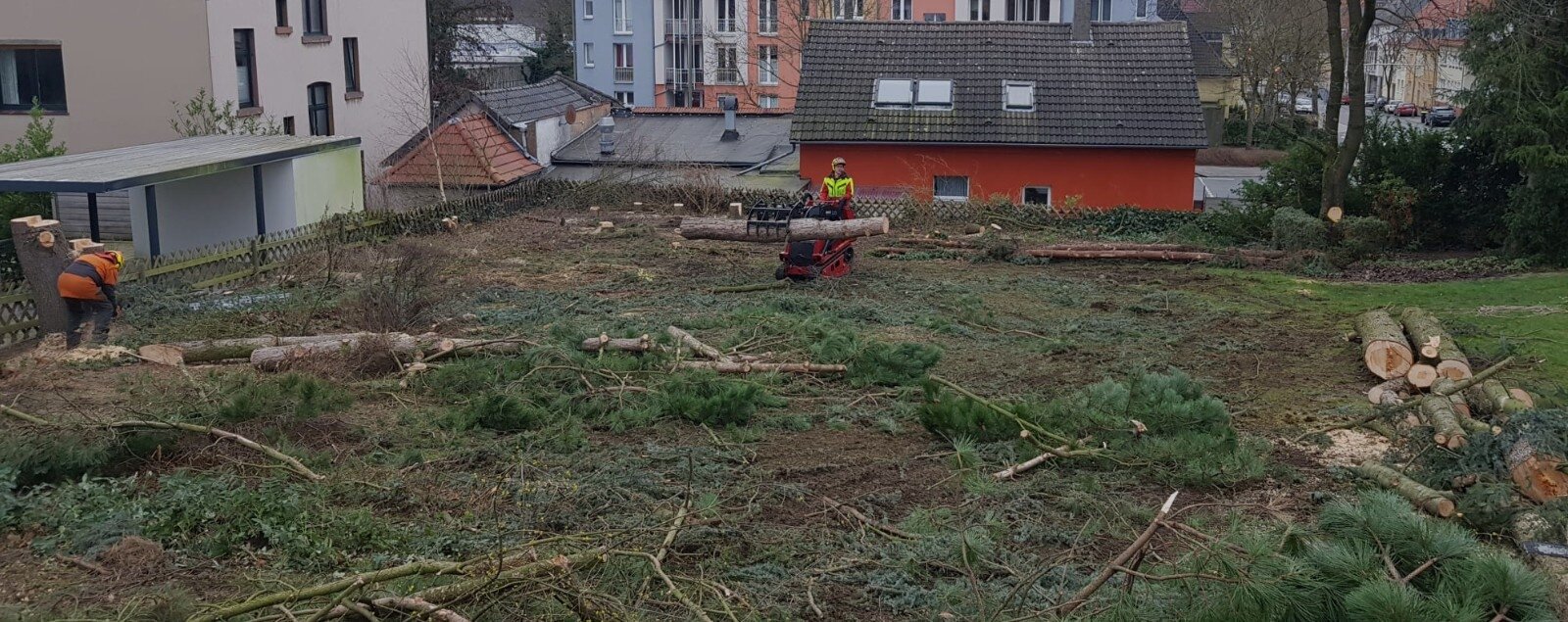 flächenrodung in Tecklenburg, Ibbenbüren, Lengerich